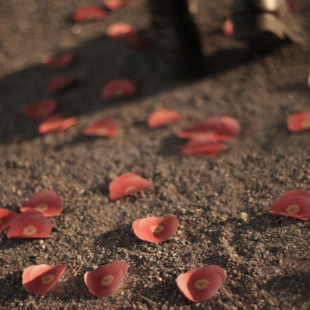 Sticky Leaf - Camellia