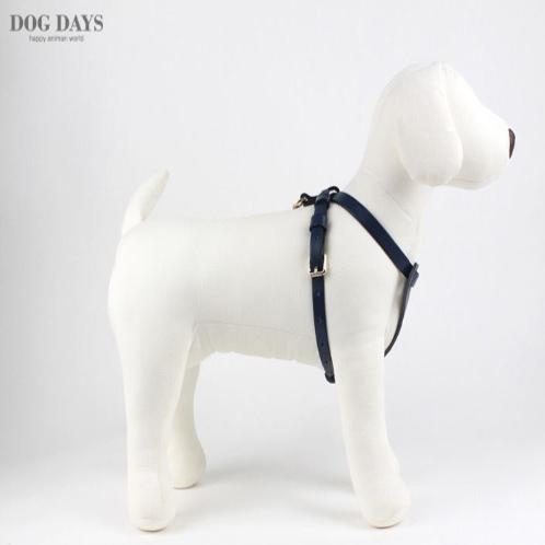 Premium leather harness T type (Blue)