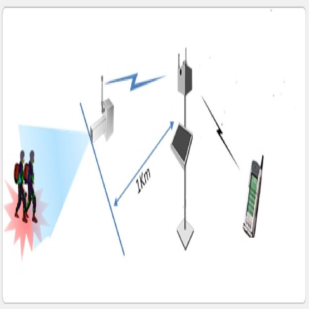 Wireless Remote Monitoring System