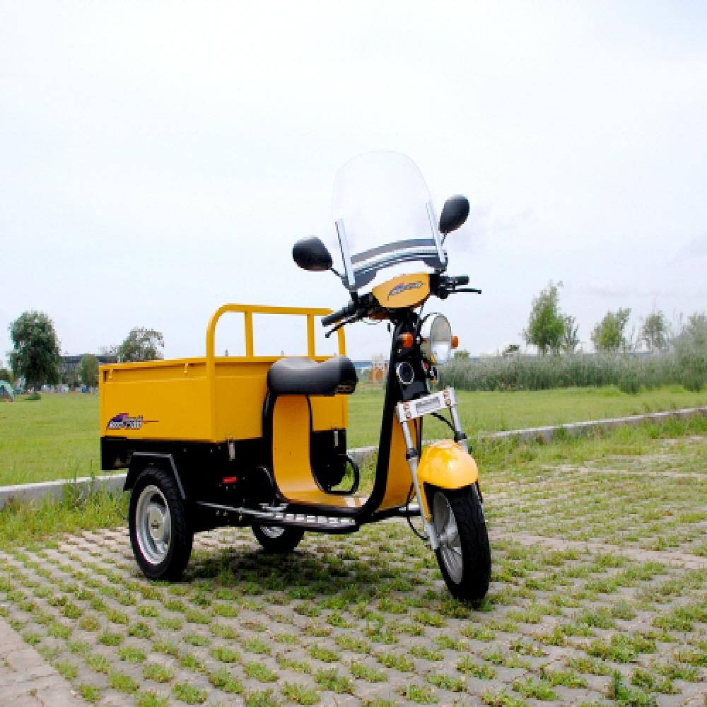 Electric Vehicle(SJE 1000)
