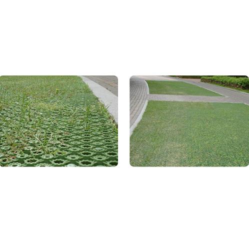 green pet50 | green roof, green wall, living wall, porous paving, paver edging