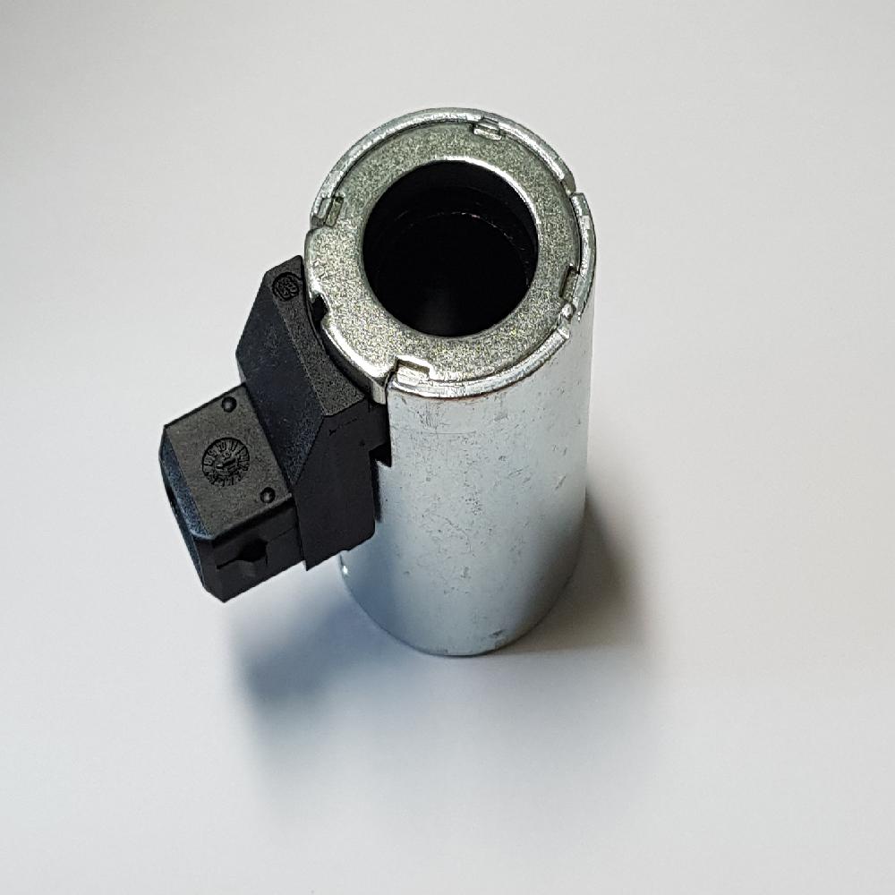 Encapsulated insulation coil