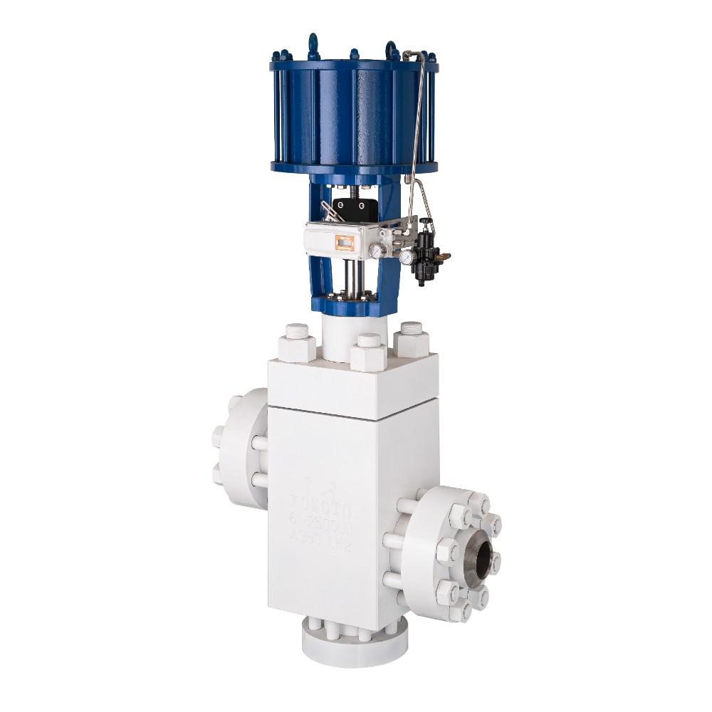Control Globe Valve