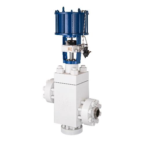 Control Globe Valve