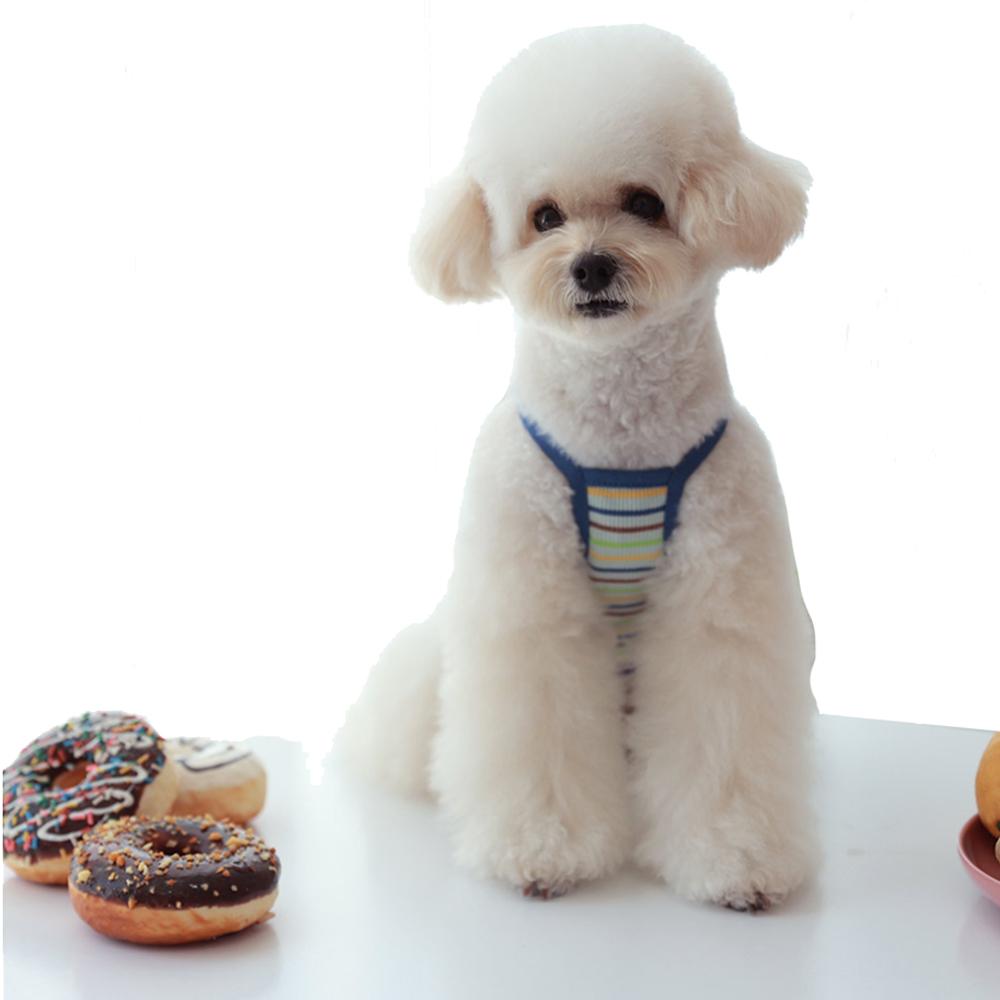 Rainbow Stripe Crop Sleeveless (Blue / XL)