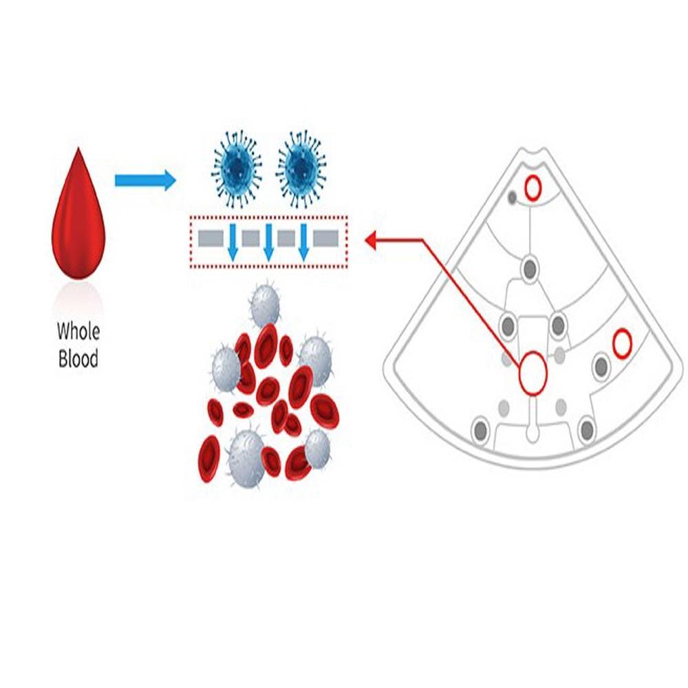 CD-LBx 2 Clinomics Inc.