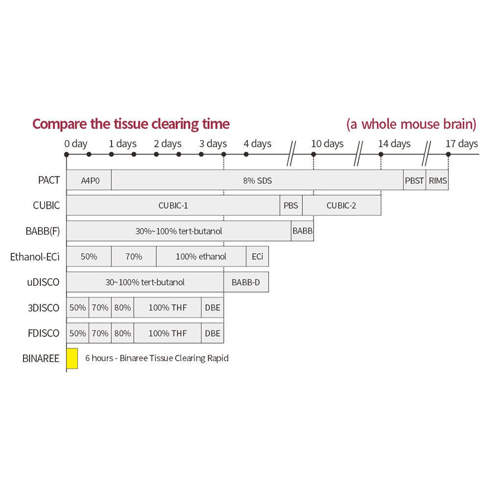 Binaree Tissue Clearing Rapid Solution Brain