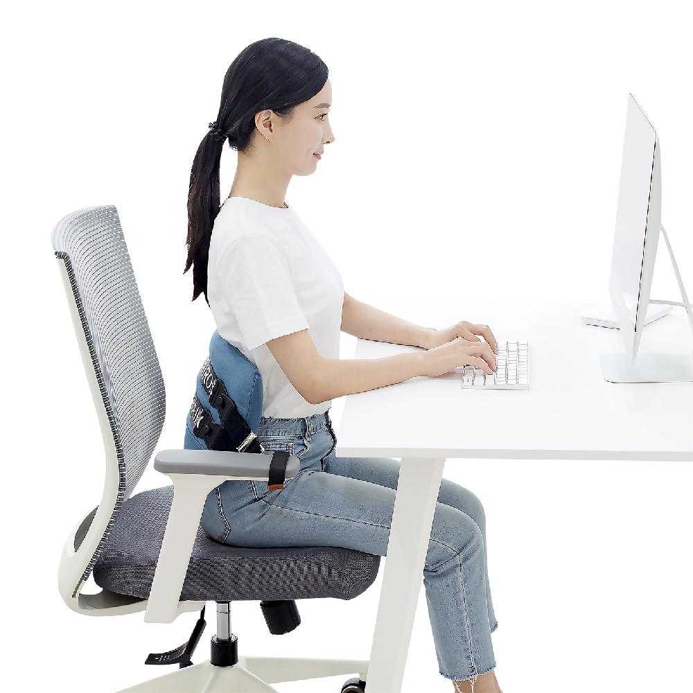 Kairos Lumbar Cushion / Gray