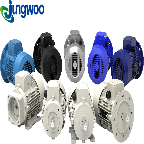 Customized Motor ( Hydraulic, Long shaft, Explosion proof, Hoists, Brakes, Magnet pumps, etc. )