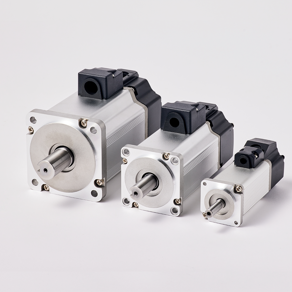 Low Voltage Servo Motor(DC12V, 24V, 48V & 72V)