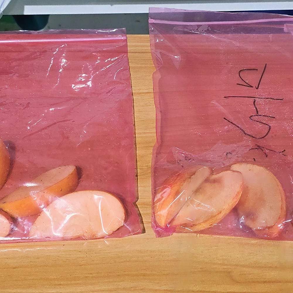 Polyko Fresh Zipper bag