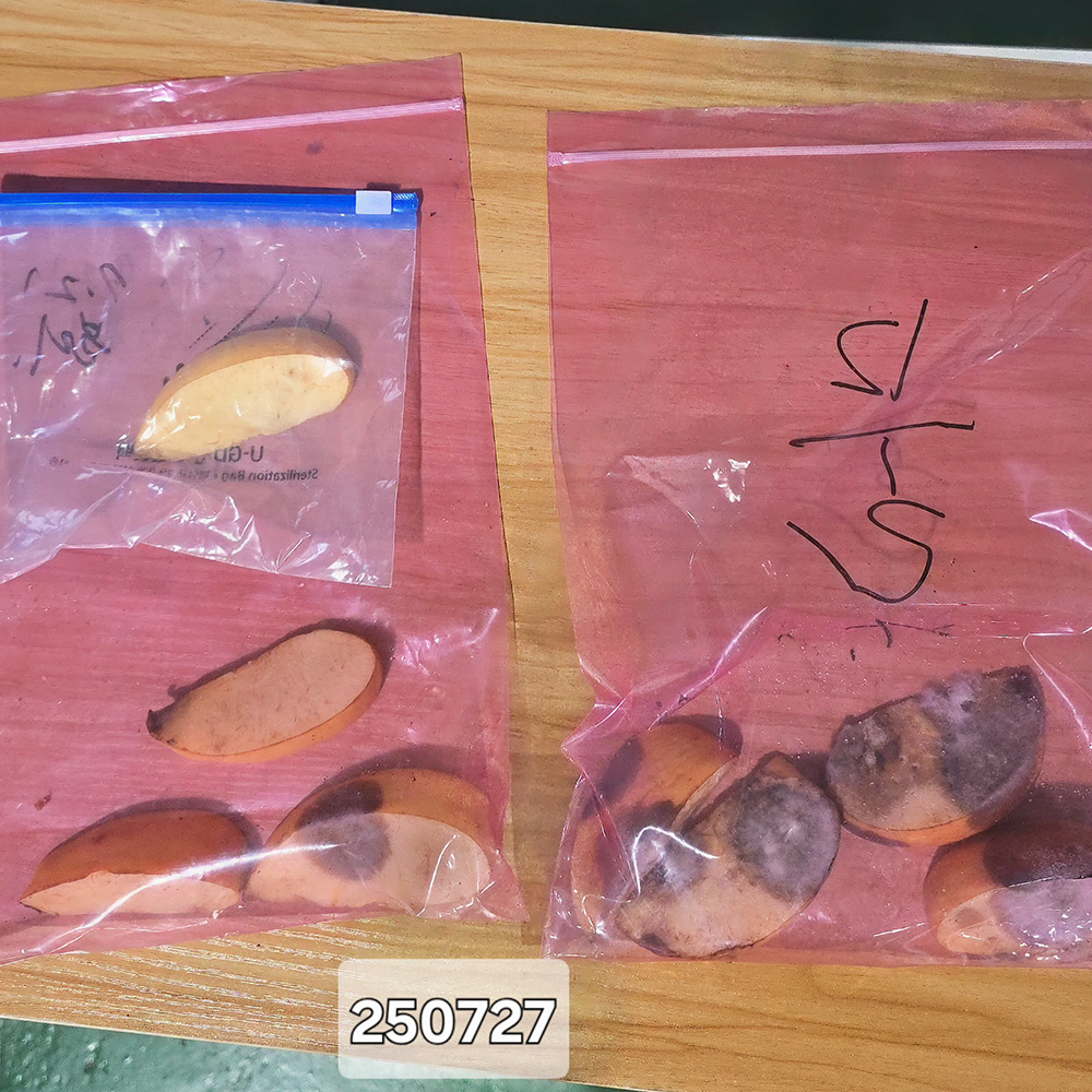 Polyko Fresh Zipper bag