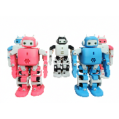 Humanoid coding education robot RoboCozy